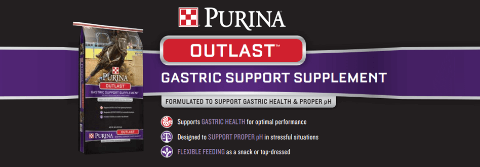 reiterman feed and supply purina outlast horse gastric support supplements